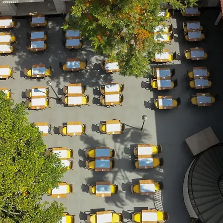 Complex Sundia By Liberty (adults Only)