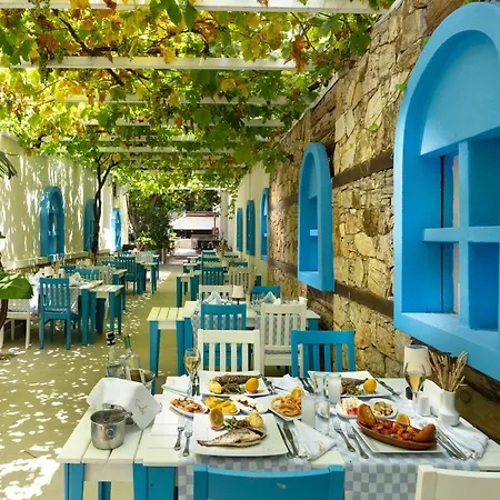 Sundia By Liberty (adults Only) 4* Oludeniz